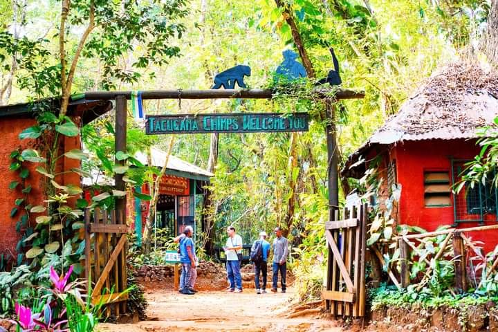 Entrance of Tacugama Chimpanzee Sanctuary near Freetown, Sierra Leone
