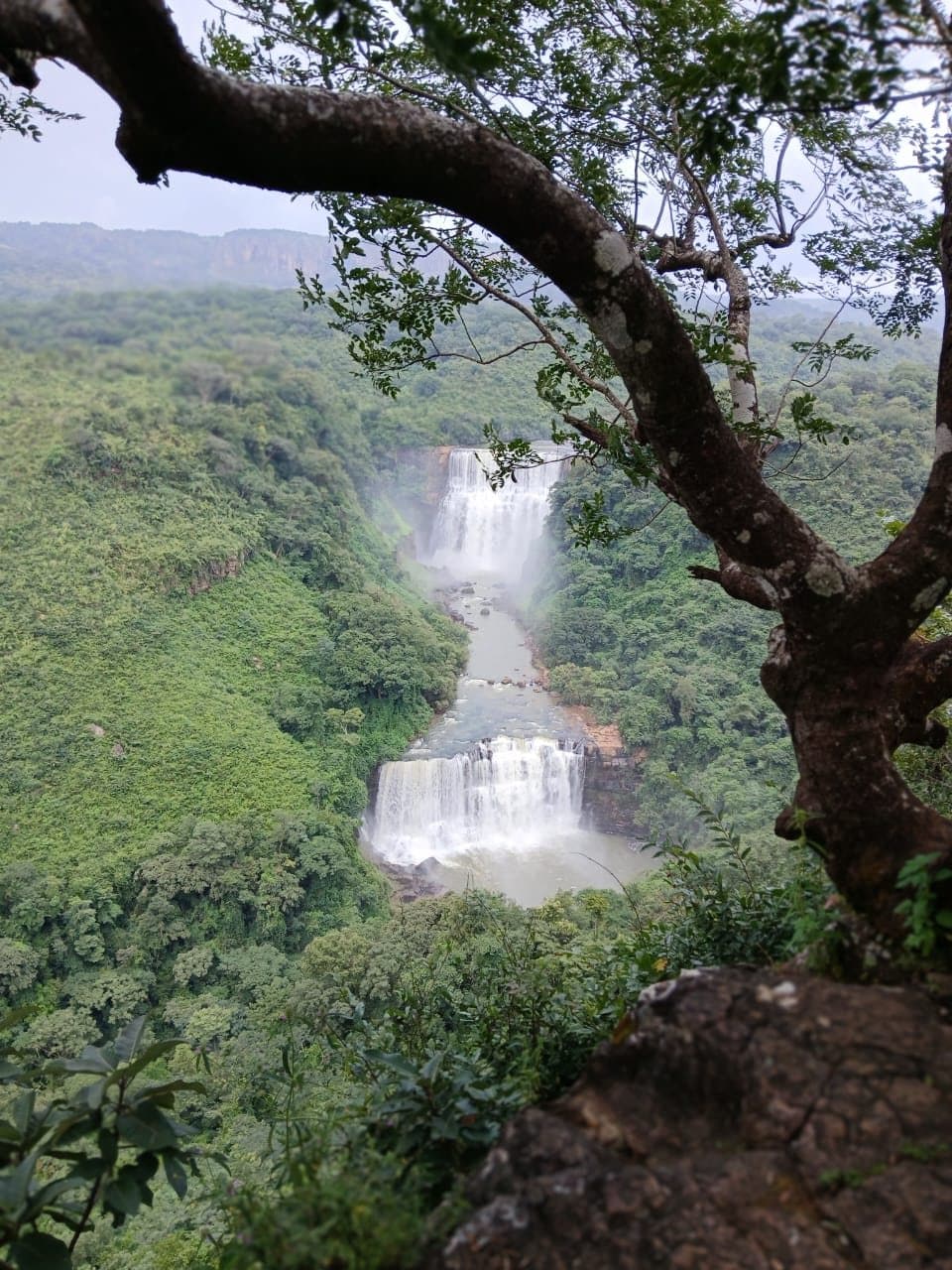 Two-tier waterfall in the forests of Guinea